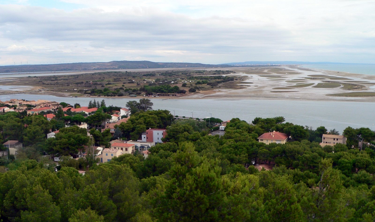 Domaine Presqu'île de la Franqui Languedoc-Roussillon - Leucate visuel 1/1 Domaine Presqu'île de la Franqui Languedoc-Roussillon - Leucate visuel 1/1