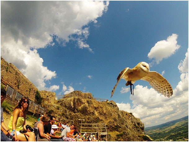 La Fressange Auvergne - Saint-Didier-en-Velay visuel 10/12 La Fressange Auvergne - Saint-Didier-en-Velay visuel 10/12