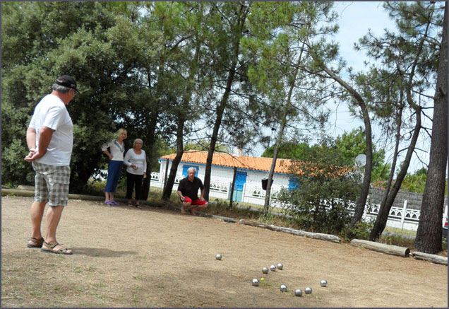 la Frétille Das Loire-Gebiet - Longeville sur Mer visuel 3/11