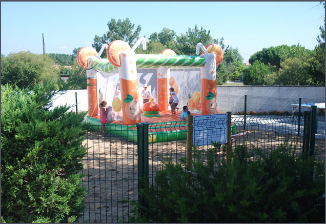 la Frétille Das Loire-Gebiet - Longeville sur Mer visuel 4/11