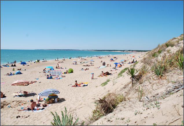 la Frétille Das Loire-Gebiet - Longeville sur Mer visuel 6/11