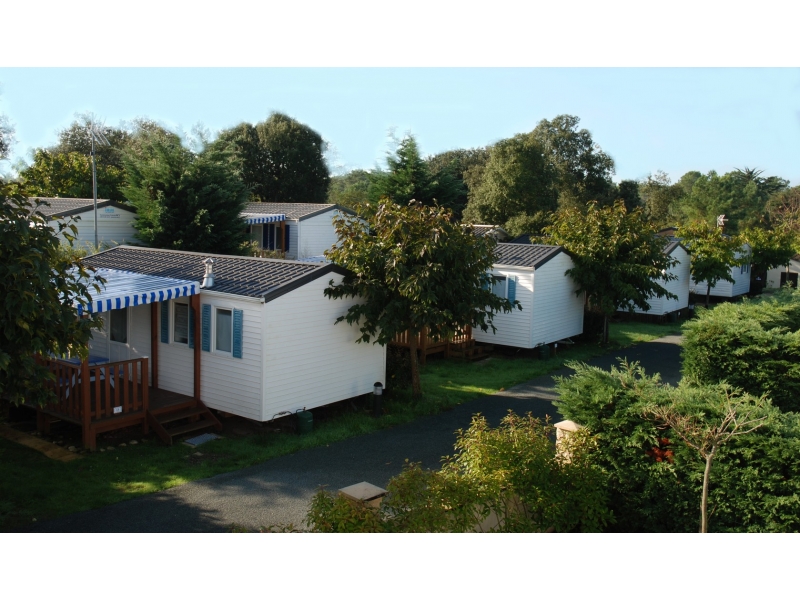 la Frétille Das Loire-Gebiet - Longeville sur Mer visuel 9/11