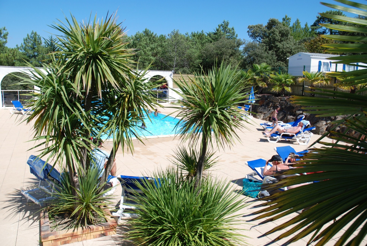 la Frétille Das Loire-Gebiet - Longeville sur Mer visuel 11/11