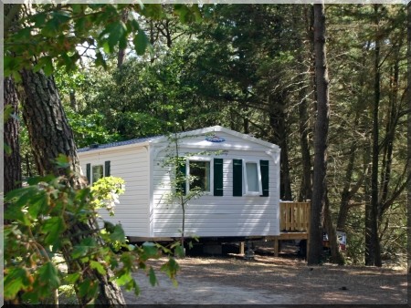 La Gachère Das Loire-Gebiet - Olonne-sur-Mer visuel 5/10