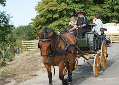 La Garenne Aquitanien - Peyrignac visuel 6/8 La Garenne Aquitanien - Peyrignac visuel 6/8