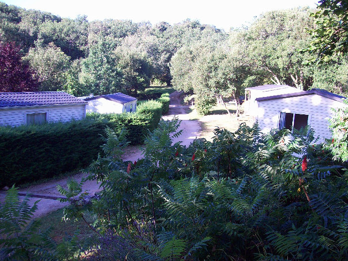 La Garrigue Midi-Pyrénées - Loubressac visuel 2/10 La Garrigue Midi-Pyrénées - Loubressac visuel 2/10