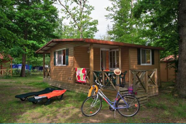 La Grande Tortue Großes Zentrum - Candé-sur-Beuvron visuel 6/9 La Grande Tortue Großes Zentrum - Candé-sur-Beuvron visuel 6/9