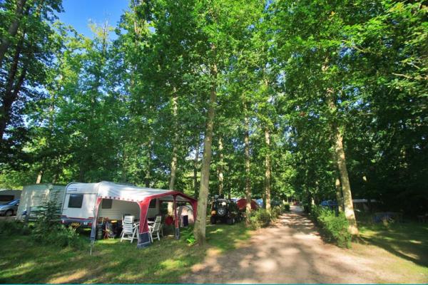 La Grande Tortue Großes Zentrum - Candé-sur-Beuvron visuel 7/9 La Grande Tortue Großes Zentrum - Candé-sur-Beuvron visuel 7/9