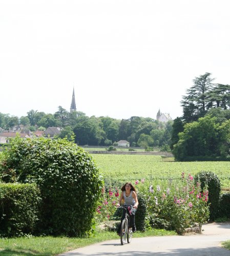 Meursault Burgunder - Meursault visuel 4/10 Meursault Burgunder - Meursault visuel 4/10