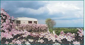 Meursault Burgunder - Meursault visuel 8/10 Meursault Burgunder - Meursault visuel 8/10