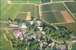 Meursault Burgunder - Meursault visuel 10/10 Meursault Burgunder - Meursault visuel 10/10