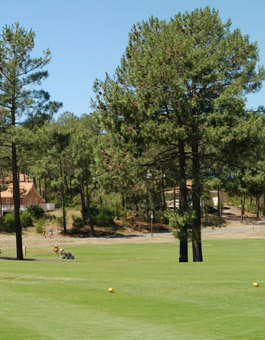 La Jenny Domaine Naturiste - Aquitanien - Le Porge visuel 4/7