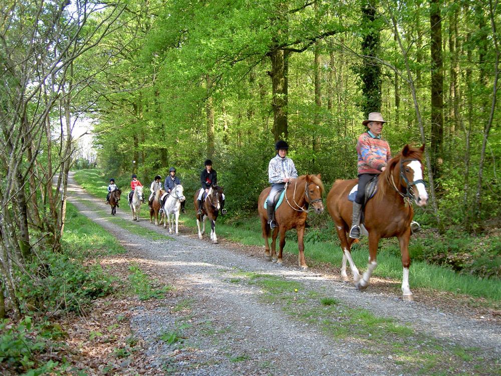 La Joletière Das Loire-Gebiet - Mervent visuel 7/9