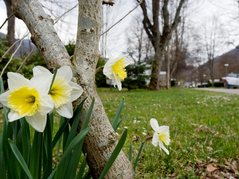 La Marmotte Midi-Pyrénées - Savignac-les-Ormeaux visuel 3/5 La Marmotte Midi-Pyrénées - Savignac-les-Ormeaux visuel 3/5