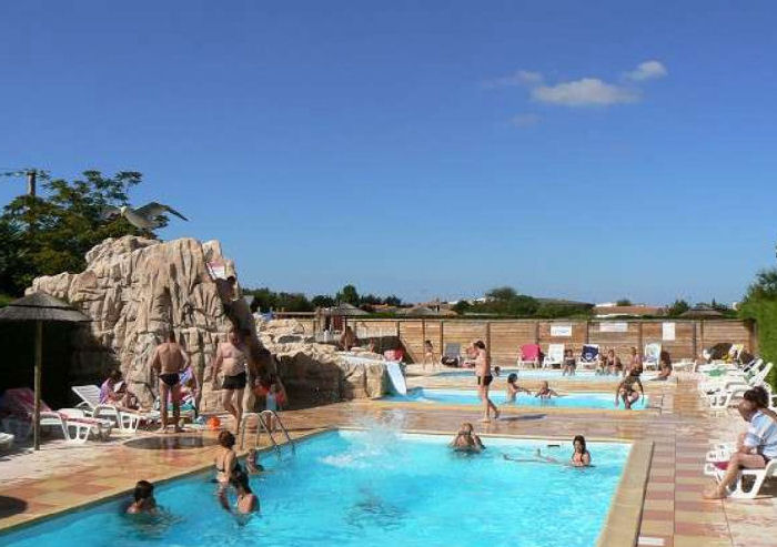 La Mouette Cendrée Das Loire-Gebiet - Saint-Vincent-sur-Jard visuel 2/8