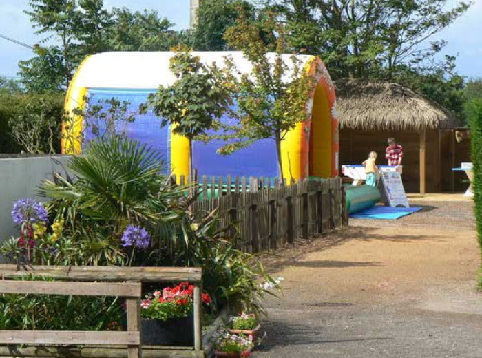 La Mouette Cendrée Das Loire-Gebiet - Saint-Vincent-sur-Jard visuel 4/8