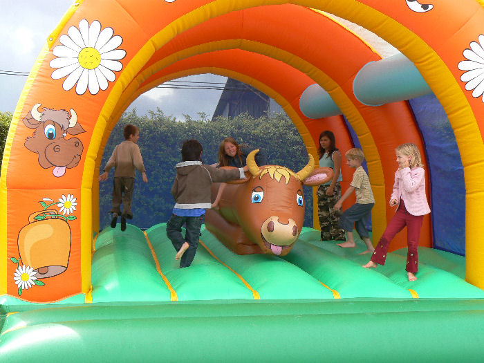 La Mouette Cendrée Das Loire-Gebiet - Saint-Vincent-sur-Jard visuel 5/8