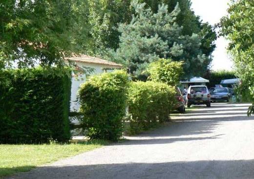 La Mouette Cendrée Das Loire-Gebiet - Saint-Vincent-sur-Jard visuel 7/8