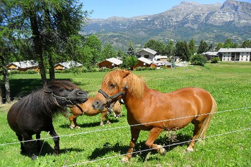 La Pause Provence-Alpes-Côte d'Azur - Saint-Léger-les-Mélèzes visuel 9/9