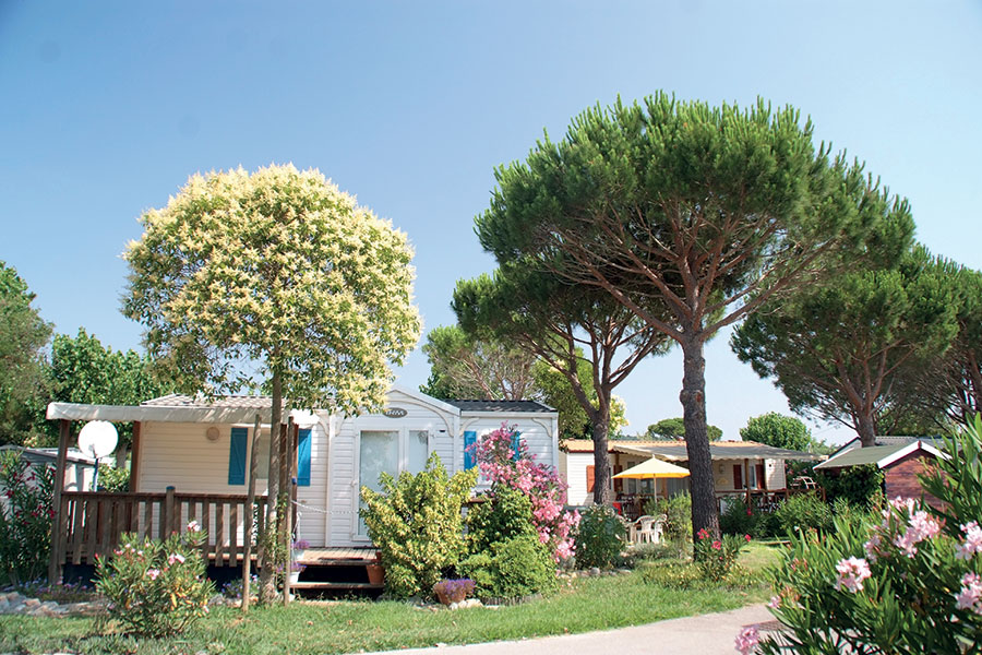 La Pinède Provence-Alpes-Côte d'Azur - Grimaud visuel 1/1 La Pinède Provence-Alpes-Côte d'Azur - Grimaud visuel 1/1