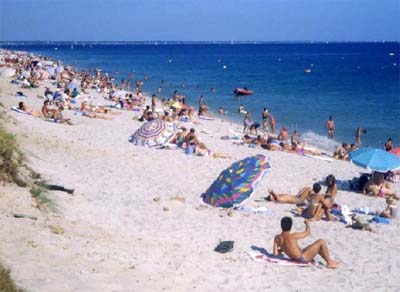 La Piscine Bretagne - Fouesnant visuel 4/10