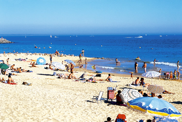 La Pomme de Pin Das Loire-Gebiet - Jard-sur-Mer visuel 2/11