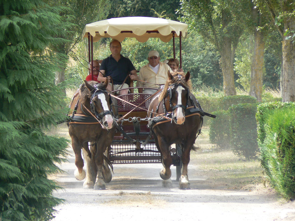 La Promenade Das Loire-Gebiet - Montjean-sur-Loire visuel 7/8