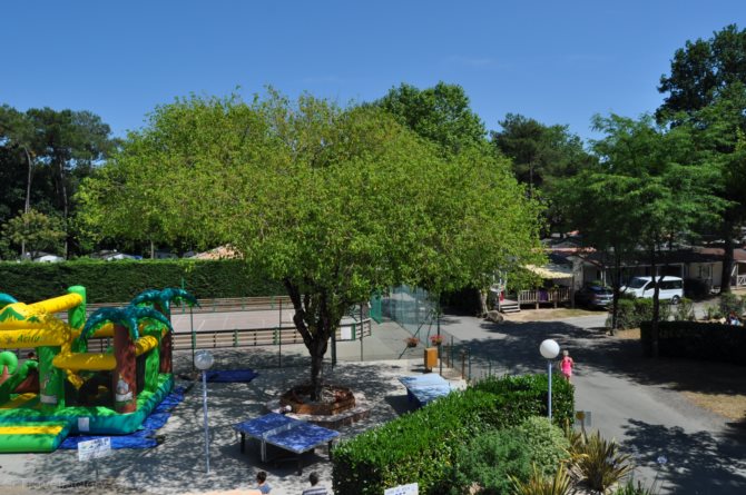 La Puerta del Sol Das Loire-Gebiet - Saint-Hilaire-de-Riez visuel 9/10 La Puerta del Sol Das Loire-Gebiet - Saint-Hilaire-de-Riez visuel 9/10