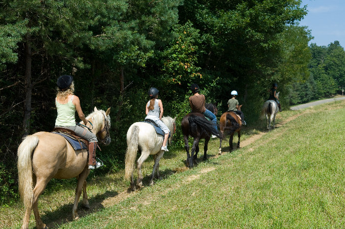 La Régate Midi-Pyrénées - Léran visuel 6/10 La Régate Midi-Pyrénées - Léran visuel 6/10