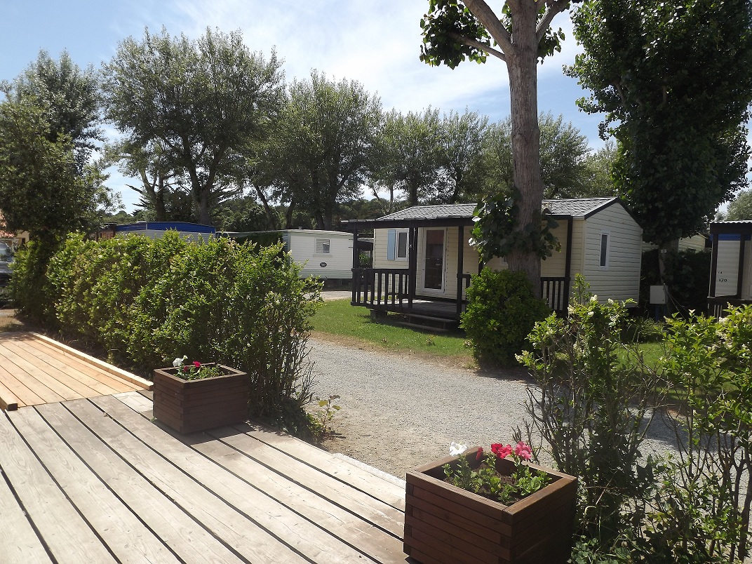 La Rive Das Loire-Gebiet - Notre-Dame-de-Monts visuel 3/4 La Rive Das Loire-Gebiet - Notre-Dame-de-Monts visuel 3/4