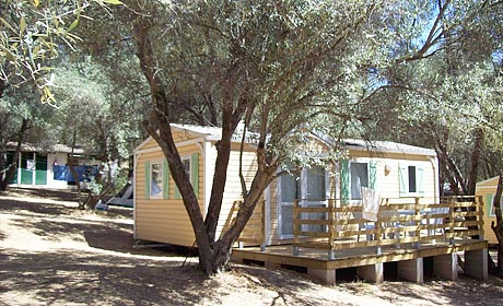 La Sposata Korsika - Vico visuel 1/1 La Sposata Korsika - Vico visuel 1/1