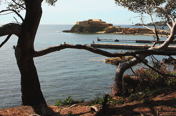 la Tour Fondue Provence-Alpes-Côte d'Azur - Hyères visuel 6/11 la Tour Fondue Provence-Alpes-Côte d'Azur - Hyères visuel 6/11