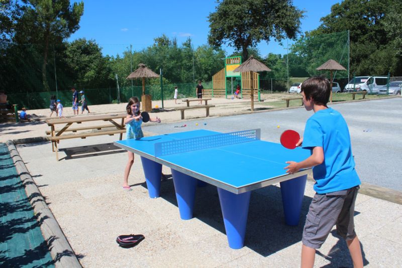 La Trévillière Das Loire-Gebiet - Brétignolles-sur-Mer visuel 6/12