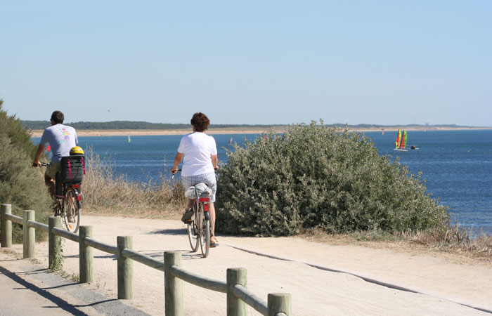 La Trévillière Das Loire-Gebiet - Brétignolles-sur-Mer visuel 12/12
