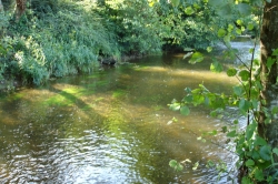 La Vallée du Ninian Bretagne - Taupont visuel 2/10