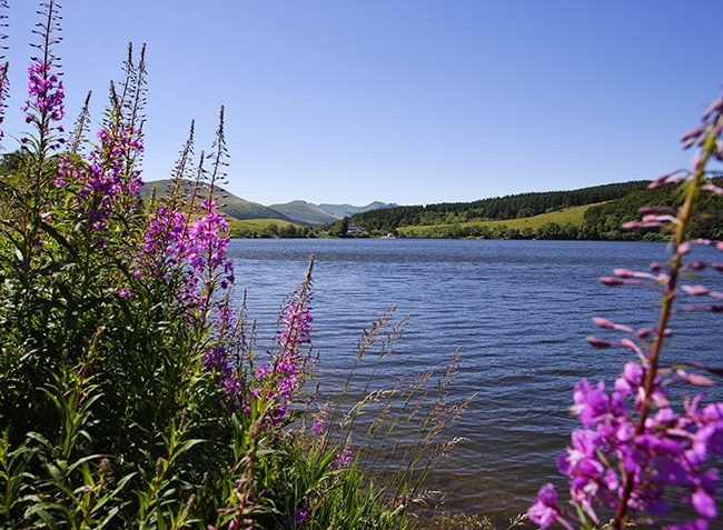 La Vallée Verte Auvergne - Saint-Nectaire visuel 7/7 La Vallée Verte Auvergne - Saint-Nectaire visuel 7/7