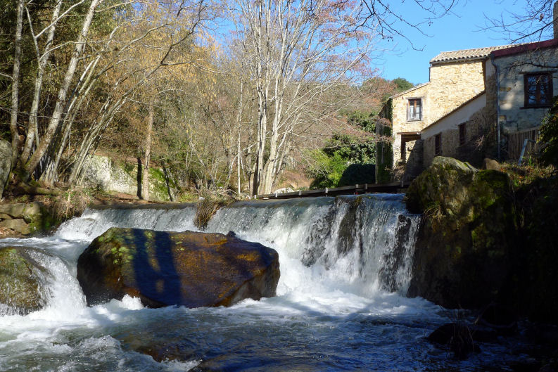 La Vitarelle Languedoc-Roussillon - Montloué visuel 4/4 La Vitarelle Languedoc-Roussillon - Montloué visuel 4/4