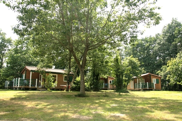 Lac de la Tricherie Das Loire-Gebiet - Mesnard-la-Barotière visuel 3/7 Lac de la Tricherie Das Loire-Gebiet - Mesnard-la-Barotière visuel 3/7