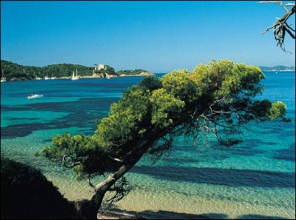 Lac de St-Cyr Poitou-Charentes - Saint-Cyr visuel 11/18 Lac de St-Cyr Poitou-Charentes - Saint-Cyr visuel 11/18