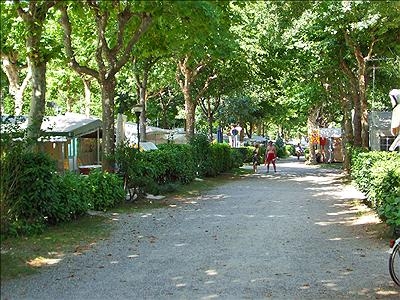 Lago Maggiore Piemont - Dormelletto visuel 9/10