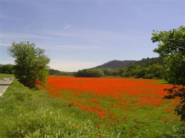 L'Air du Temps Provence-Alpes-Côte d'Azur - Villelaure visuel 6/8
