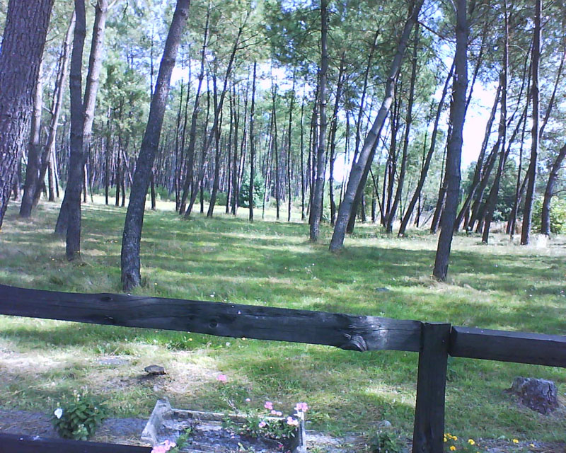 L'Aire Naturelle La Réserve Aquitanien - Garrosse visuel 2/4