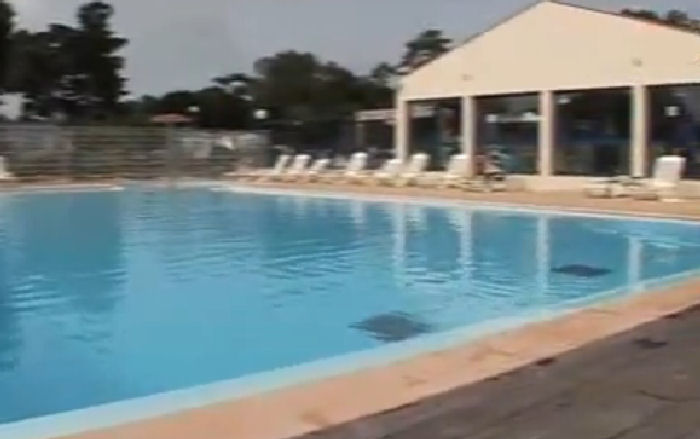 L'Albizia Das Loire-Gebiet - Notre-Dame-de-Monts visuel 6/9 L'Albizia Das Loire-Gebiet - Notre-Dame-de-Monts visuel 6/9