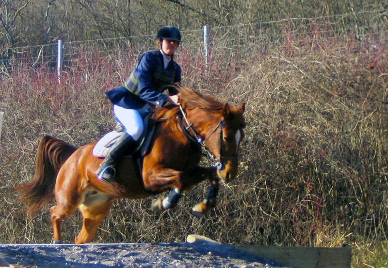 L'Amitié Provence-Alpes-Côte d'Azur - Touët-sur-Var visuel 3/7