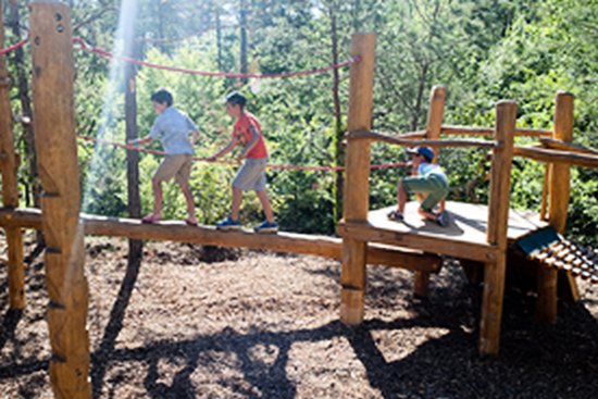 Lanmary Aquitanien - Antonne-et-Trigonant visuel 5/7