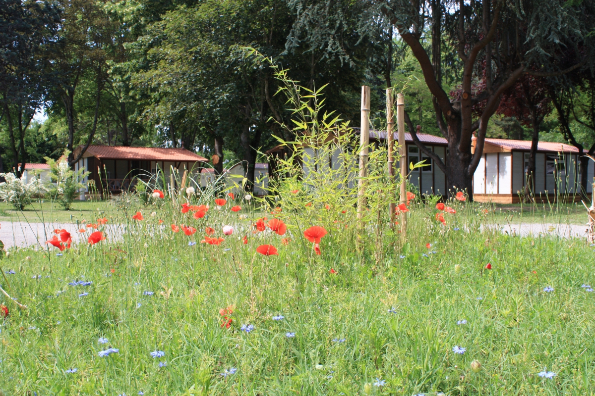L'Apamée Midi-Pyrénées - Pamiers visuel 8/9 L'Apamée Midi-Pyrénées - Pamiers visuel 8/9