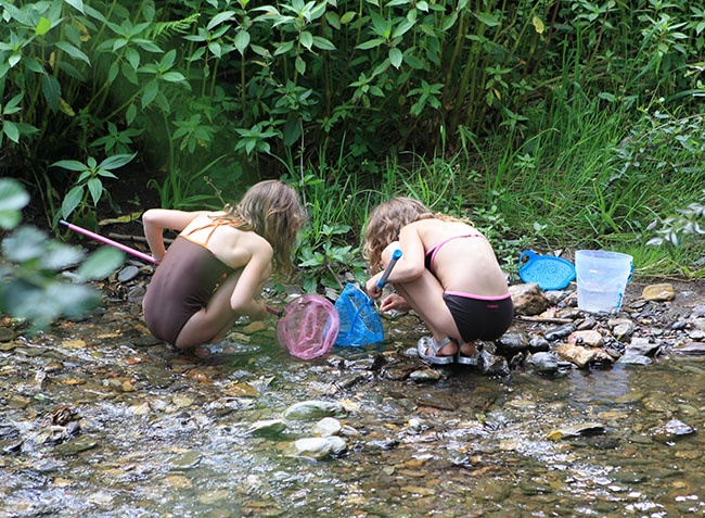 L'Arize Midi-Pyrénées - La Bastide-de-Sérou visuel 4/10 L'Arize Midi-Pyrénées - La Bastide-de-Sérou visuel 4/10