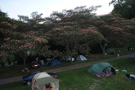 L'Arrouach Midi-Pyrénées - Lourdes visuel 5/9 L'Arrouach Midi-Pyrénées - Lourdes visuel 5/9