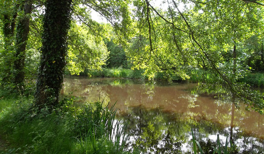 le Beauchêne Das Loire-Gebiet - Avrillé visuel 5/18 le Beauchêne Das Loire-Gebiet - Avrillé visuel 5/18