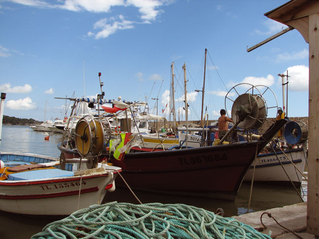 Le Beau Vezé Provence-Alpes-Côte d'Azur - Carqueiranne visuel 4/10